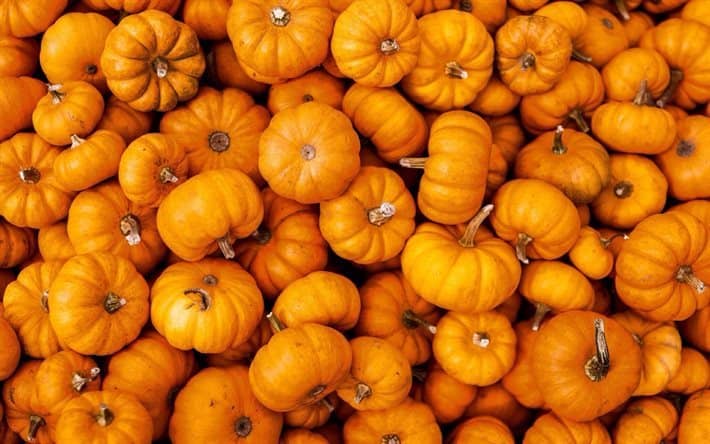 banner-calabazas